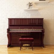 星海钢琴提醒您定期进行专业调律，击弦机、键盘及踏瓣整理对钢琴的演奏十分