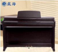 王哥庄孙女士在军艺琴行网站上购买了星海电钢琴